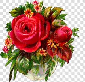 Red Rose Png Pic   Flower Bouquet Of Roses Clip Art  Transparent Png