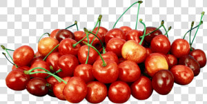 Tubes Fruits Et Legumes   Acerola Cherry Png Transparente  Png Download