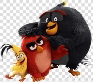 Angry Birds Png Transparent Background   Angry Birds Film Png  Png Download