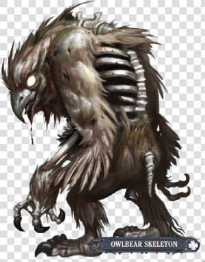 Pathfinder Owlbear Skeleton   Owlbear Skeleton  HD Png Download