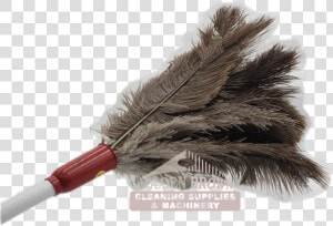Feather Duster  HD Png Download