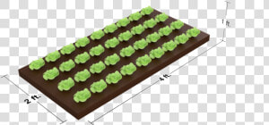 Horizontal Grow Plane With Dimensions Copyright   Grass  HD Png Download
