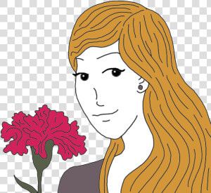 Carnations   Illustration  HD Png Download