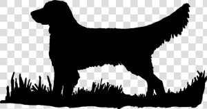 Drawing Laboratory Bird Dog   Golden Retriever Silhouette Transparent  HD Png Download