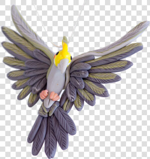 Cockatiel  HD Png Download