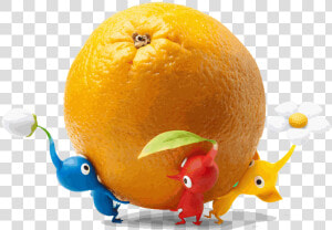 Mandarin orange   Pikmin Fruit  HD Png Download