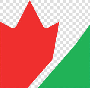 Iran Flag Png  Transparent Png