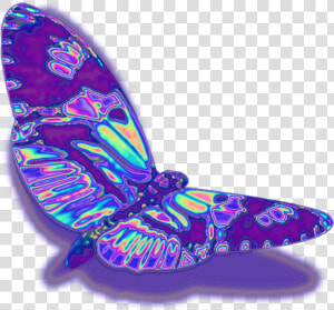 Glitch   Vaporwave   Holographic   Hologram   Freetoedi   Transparent Holographic Butterfly  HD Png Download