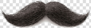 Moustache Png Image   Mustache Png  Transparent Png