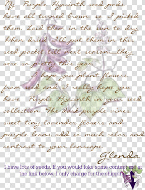 Brown Paper Bag Purple Hyacinth Seed Packet   Png Download   Purple Hyacinth Bean Vine  Transparent Png
