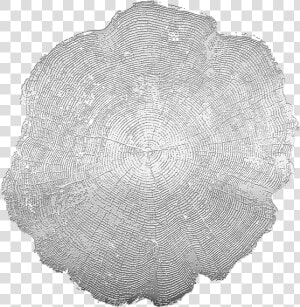 Doily  HD Png Download