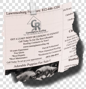 Ripped Newspaper Png   Kangaroo  Transparent Png