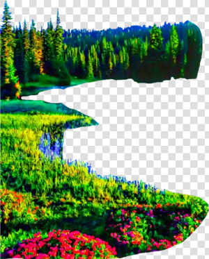 Transparent Forest Background Clipart   Nature Picsart Png Background  Png Download