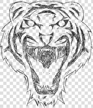 Tiger  Cartoon  Animal  Illustration  Black  White   White Tiger Arts Png  Transparent Png