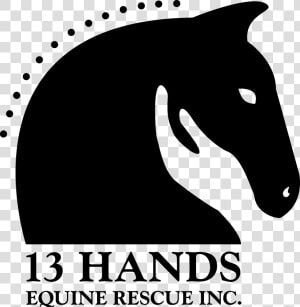 13 Hands Equine Rescue  HD Png Download