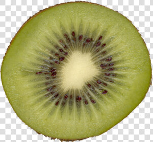 Preview   Kiwi Slice  HD Png Download
