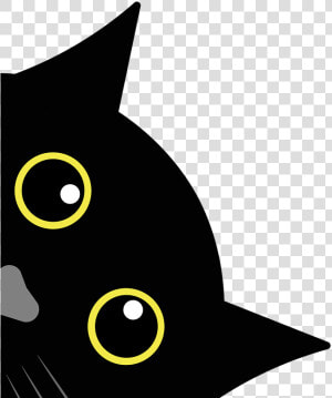 Black Cat  HD Png Download