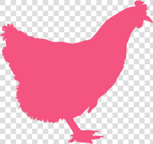 Silhouette Of A Chickens Grey Png  Transparent Png