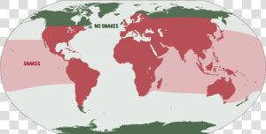 Countrys Dont Have Snakes  HD Png Download