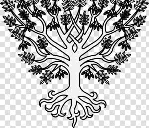 Port Drawing Tree   Ash Tree Heraldry  HD Png Download