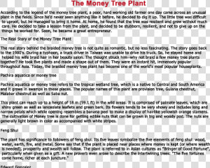 Jade Plant Feng Shui   Story Of Money Tree  HD Png Download