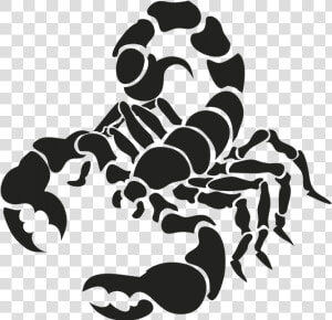 Cancer Astrology Png Download   Scorpion Vector  Transparent Png