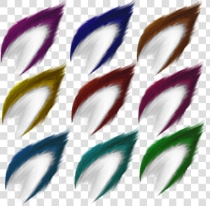 Transparent Wolf Ears Png   Ear Wolf Png  Png Download
