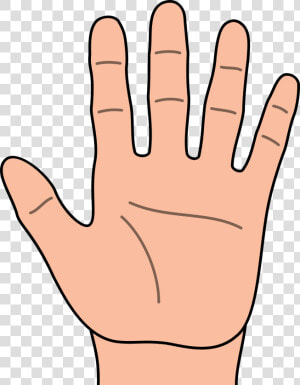 Touch Hand Clipart   Hand Clipart  HD Png Download