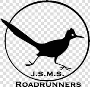 Black And White Roadrunner Clipart  HD Png Download
