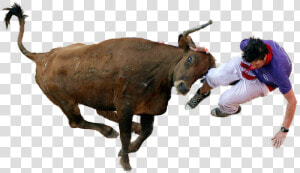 San Fermin Festival  HD Png Download