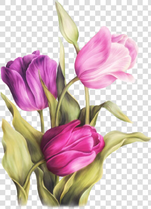 Fleurs Bouquets Flowers Flores   Flower Colour Pencil Drawing  HD Png Download