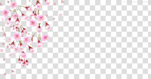 Cherry Blossom Leaves Falling Png   Falling Cherry Blossom Png  Transparent Png