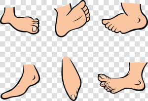 Foot Cartoon Pictures Of Feet Free Download Clipart   Feet Clipart  HD Png Download