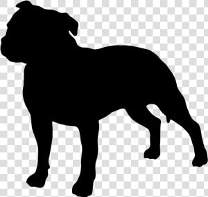 Staffordshire Bull Terrier American Pit Bull Terrier   Staffordshire Bull Terrier Sticker  HD Png Download