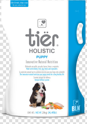 Companion Dog  HD Png Download