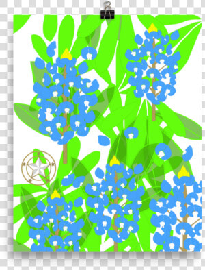 Flowers Clipart Bluebonnet   Illustration  HD Png Download