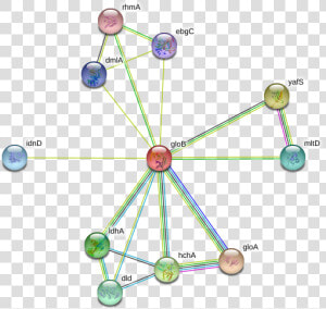 Glob Protein   Circle  HD Png Download