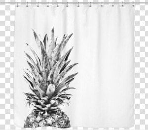 Custom Left   Frutas Blanco Y Negro  HD Png Download