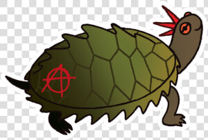 Transparent Cute Turtle Png   Desert Tortoise  Png Download