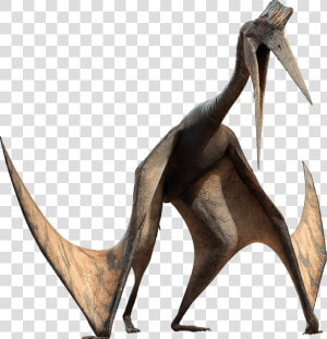 Azhdarchid Walking With Dinosaurs  HD Png Download