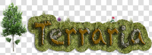 Terraria   Thuya  HD Png Download