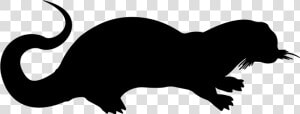 Sea Weasel Mammal Shape   Ferret Silhouette Png  Transparent Png