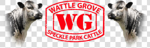 Wattle Grove Speckle Park Logo   Graphic Design  HD Png Download