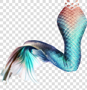 Mermaid Tail Siren Sticker Mug   Mermaid Tail Hd Png  Transparent Png