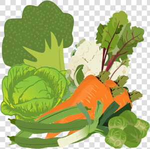 Mixed Vegetables Image   Cabbage Clipart  HD Png Download