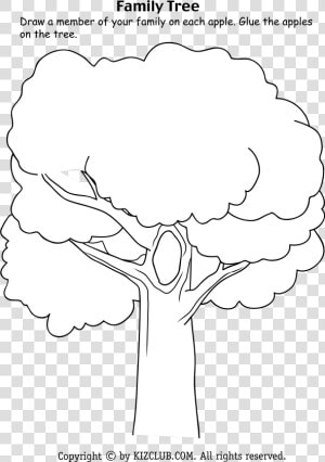 Blank Family Tree Main Image   Illustration  HD Png Download