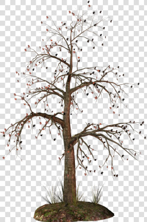 Dead Tree Clipart   Dead Christmas Tree Clipart  HD Png Download