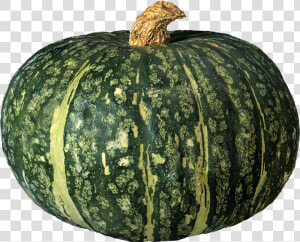 Pumpkin Png Image   Green Pumpkin Png  Transparent Png
