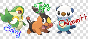 Gen 5 Starters Pokemon Go  HD Png Download