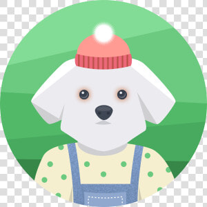 Dog   Slovak Cuvac  HD Png Download
